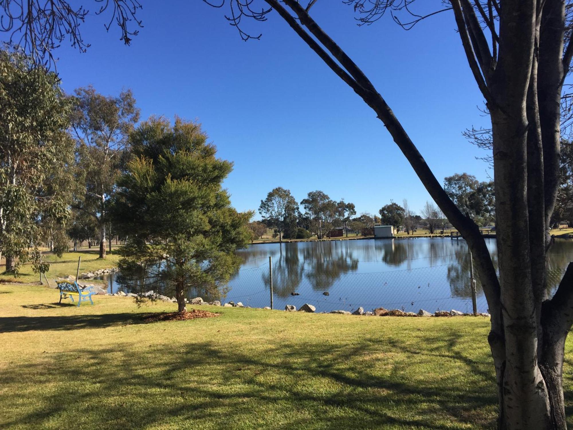 Junee Tourist Park Exterior photo