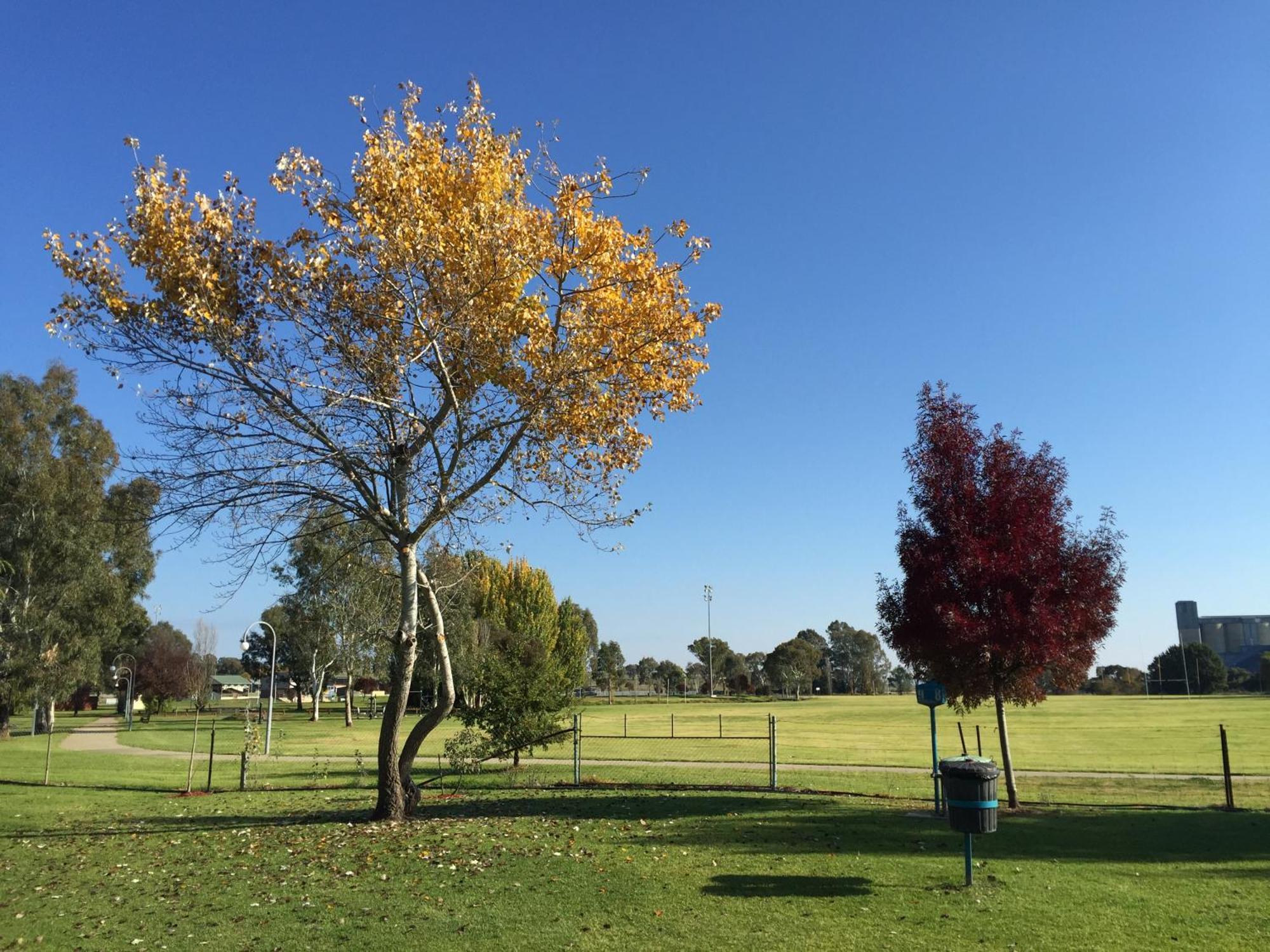 Junee Tourist Park Exterior photo