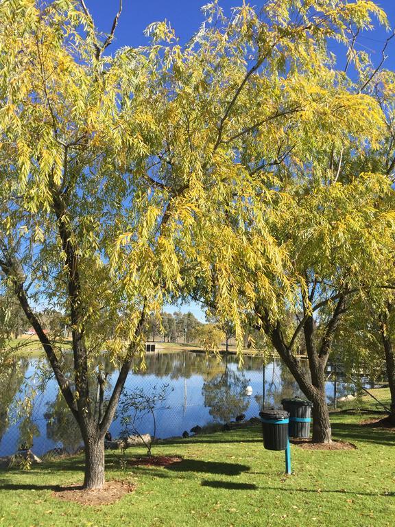Junee Tourist Park Exterior photo